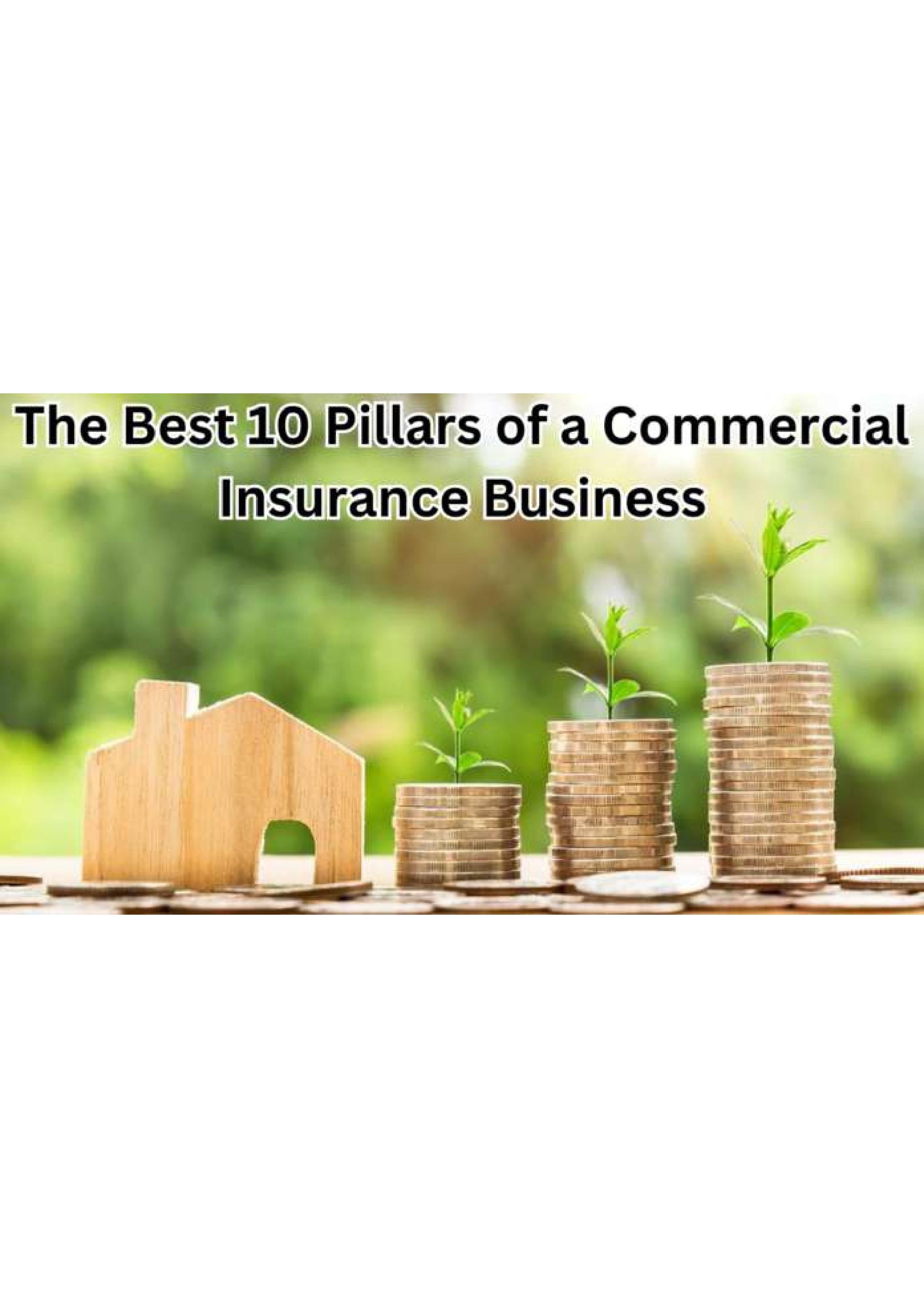 The Best 10 Pillars of a Commercial Insurance Business by Jungkook Jin
