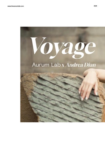 Voyage 灯饰产品集 | Aurum Lab x Andrea Dian Bimo 第 8 页
