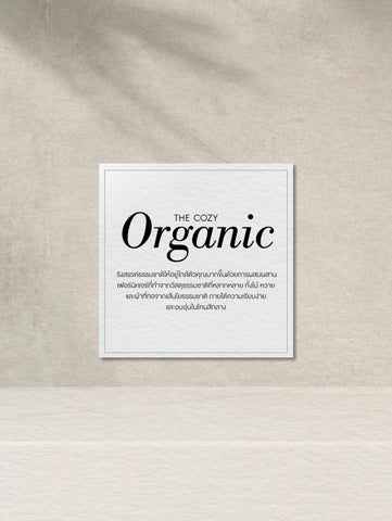 SB Design Square 家具目录 · THE COZY ORGANIC 第 3 页