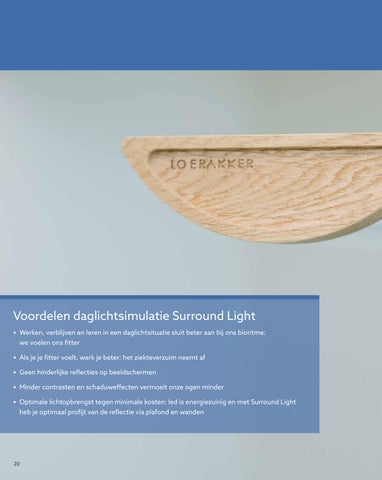 Maarten Loerakker 灯饰目录 · Loerakker LED Line catalogus 第 20 页