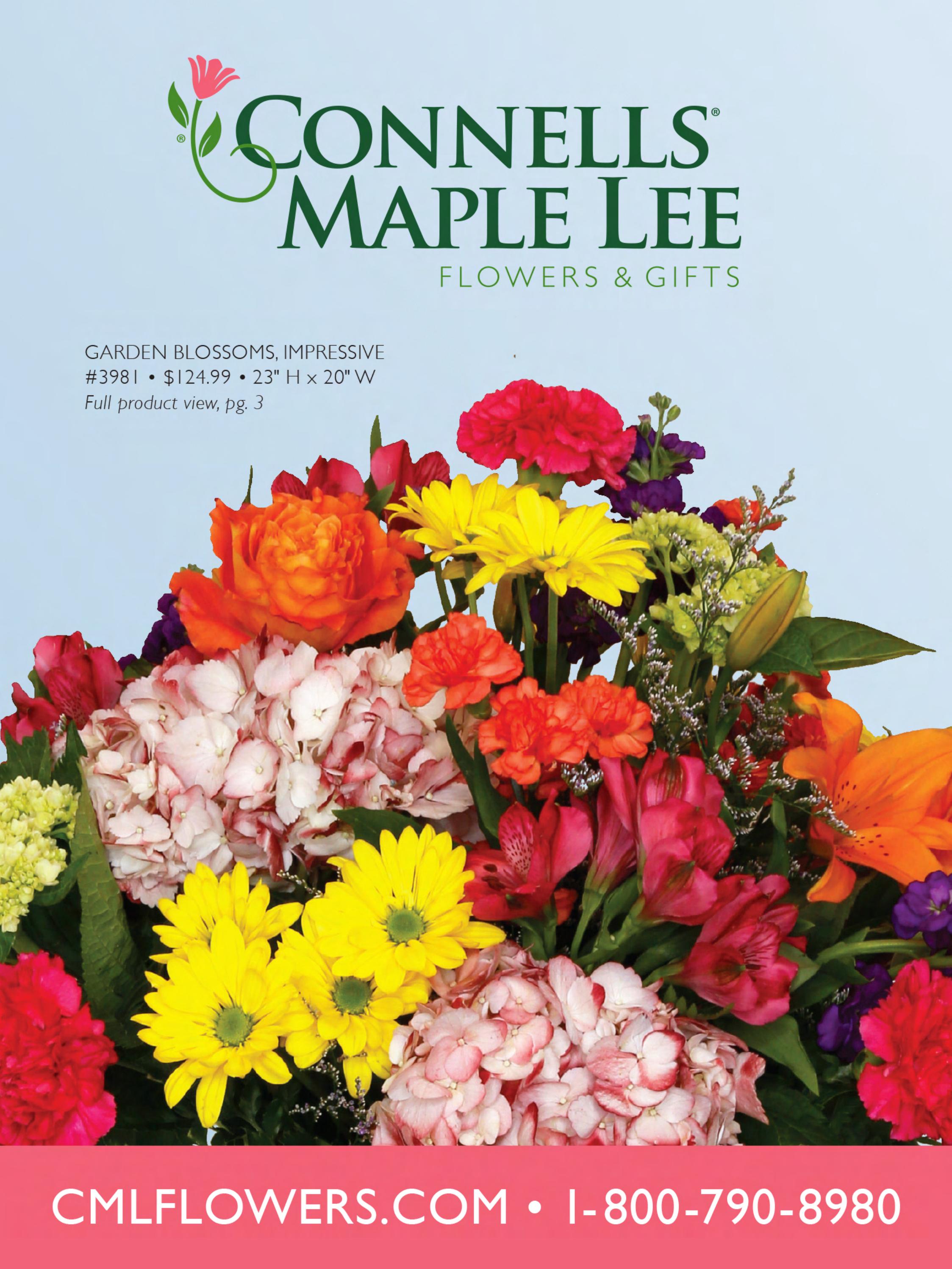 Connells Maple Lee Everyday Brochure 2023 by US Retail Flowers Inc. Issuu