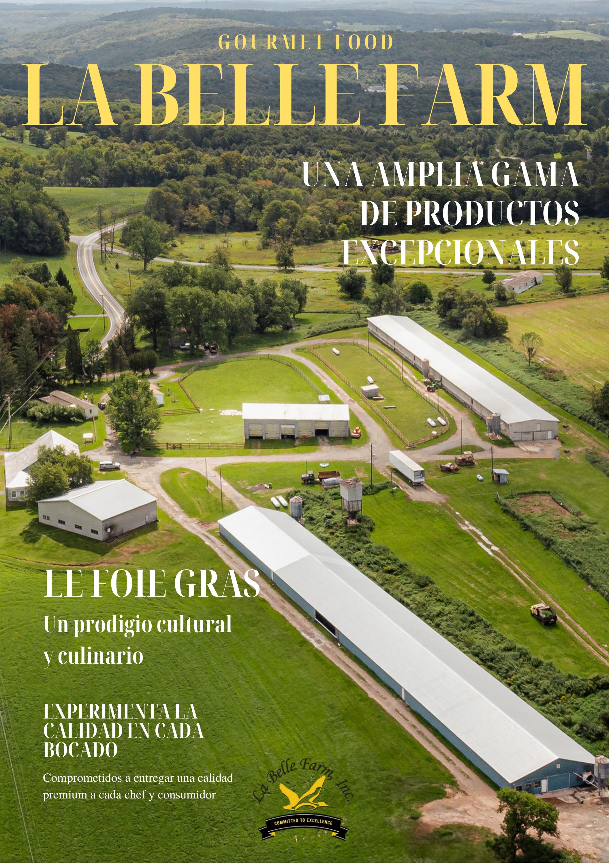 LaBelle Farm by Clémence Blain Issuu