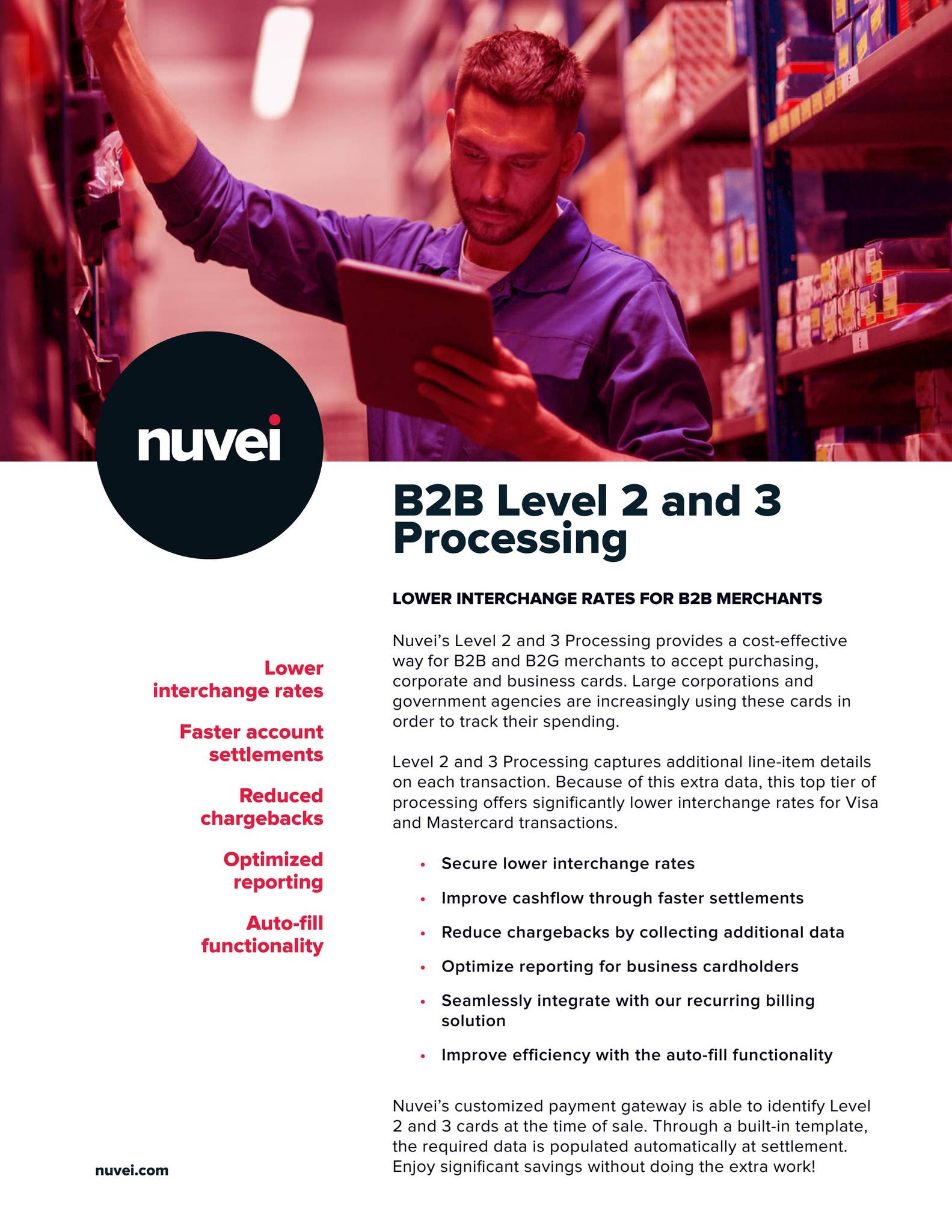 B2B Level 2 and 3 Processing by Nuvei - Issuu