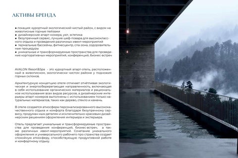 Brand Identity Avalon Resort&Spa 第 4 页