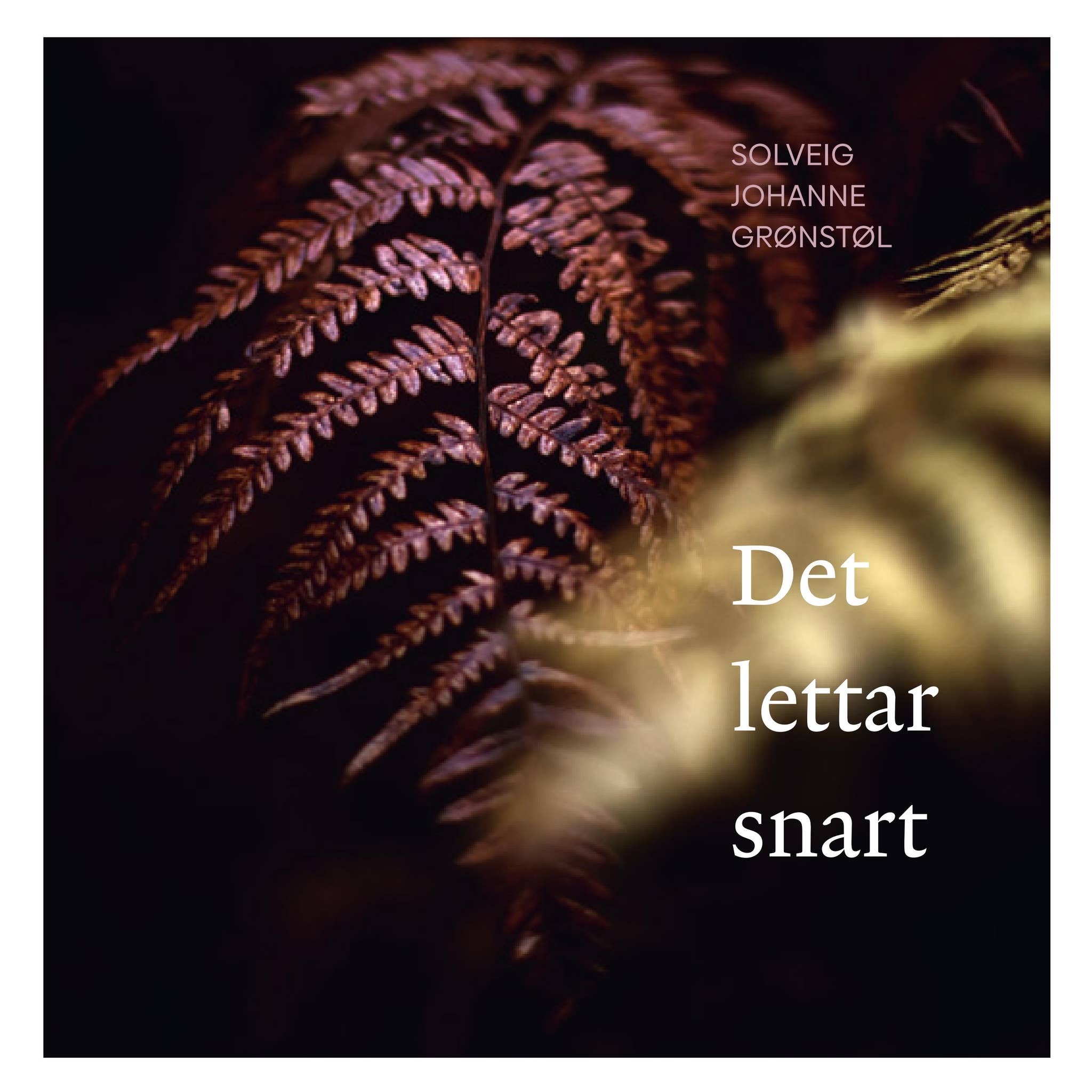 Det Letters Det letter snart by interface_media - Issuu