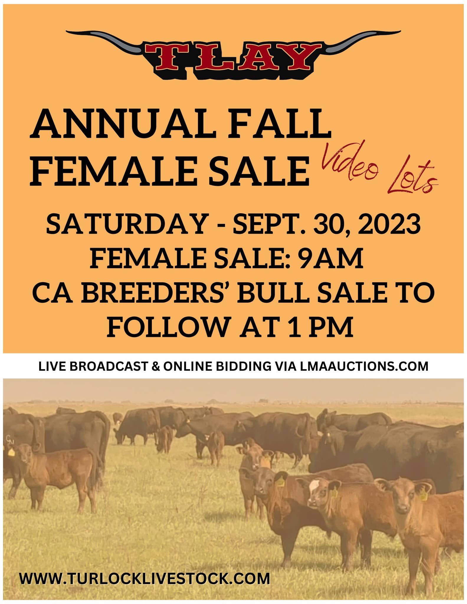 2023 ANNUAL FALL FEMALE SALE VIDEO LOTS by TURLOCK LIVESTOCK