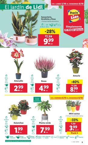 Folleto Lidl 德文 alimentación del 2 al 8 octubre 第 9 页