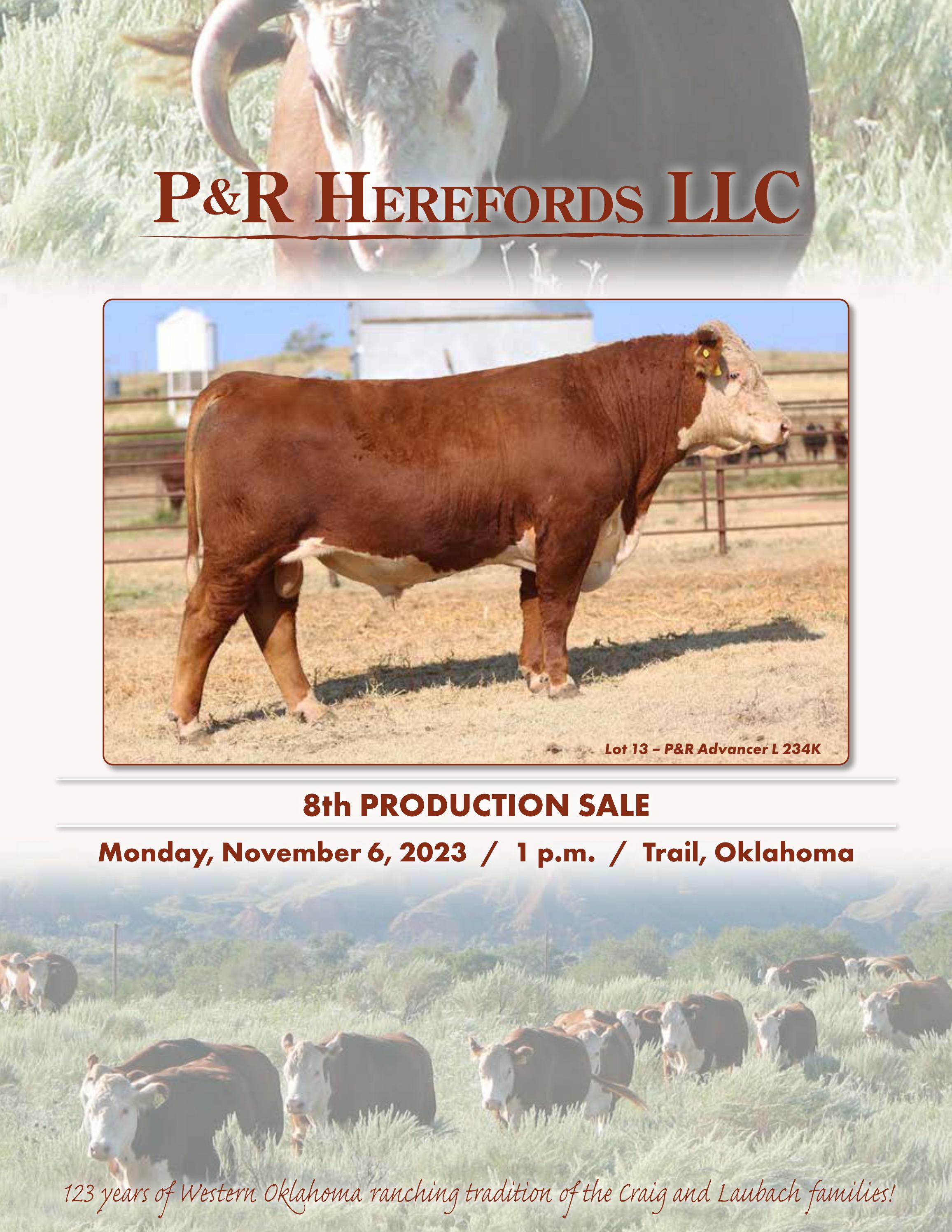 P&R Herefords LLC 8th Production Sale by American Hereford Association