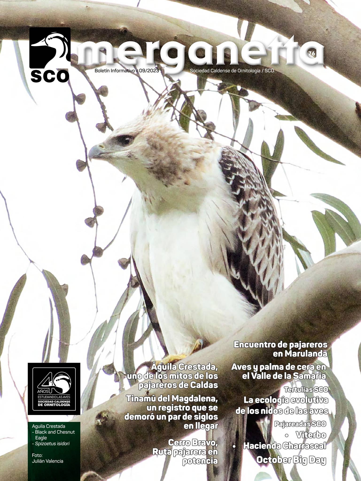 Merganetta 76 by merganetta.SCO - Issuu