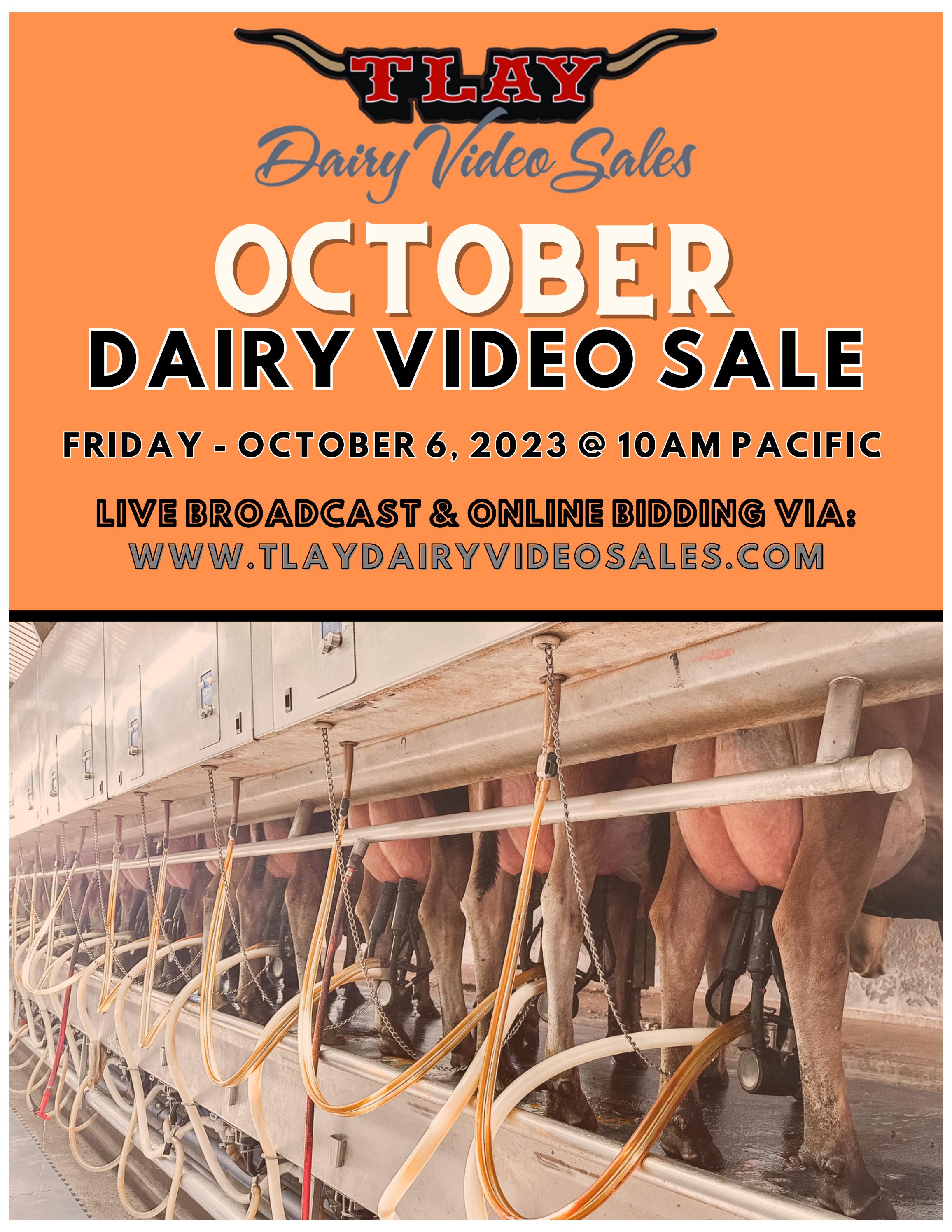 OCTOBER 2023 DVS by TURLOCK LIVESTOCK AUCTION YARD Issuu