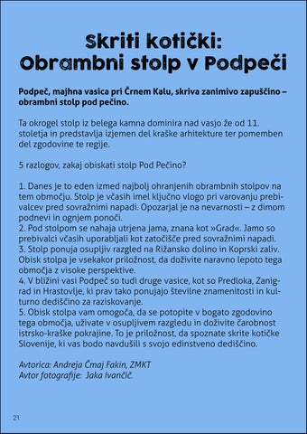 Page 21