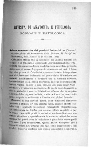 Page 239