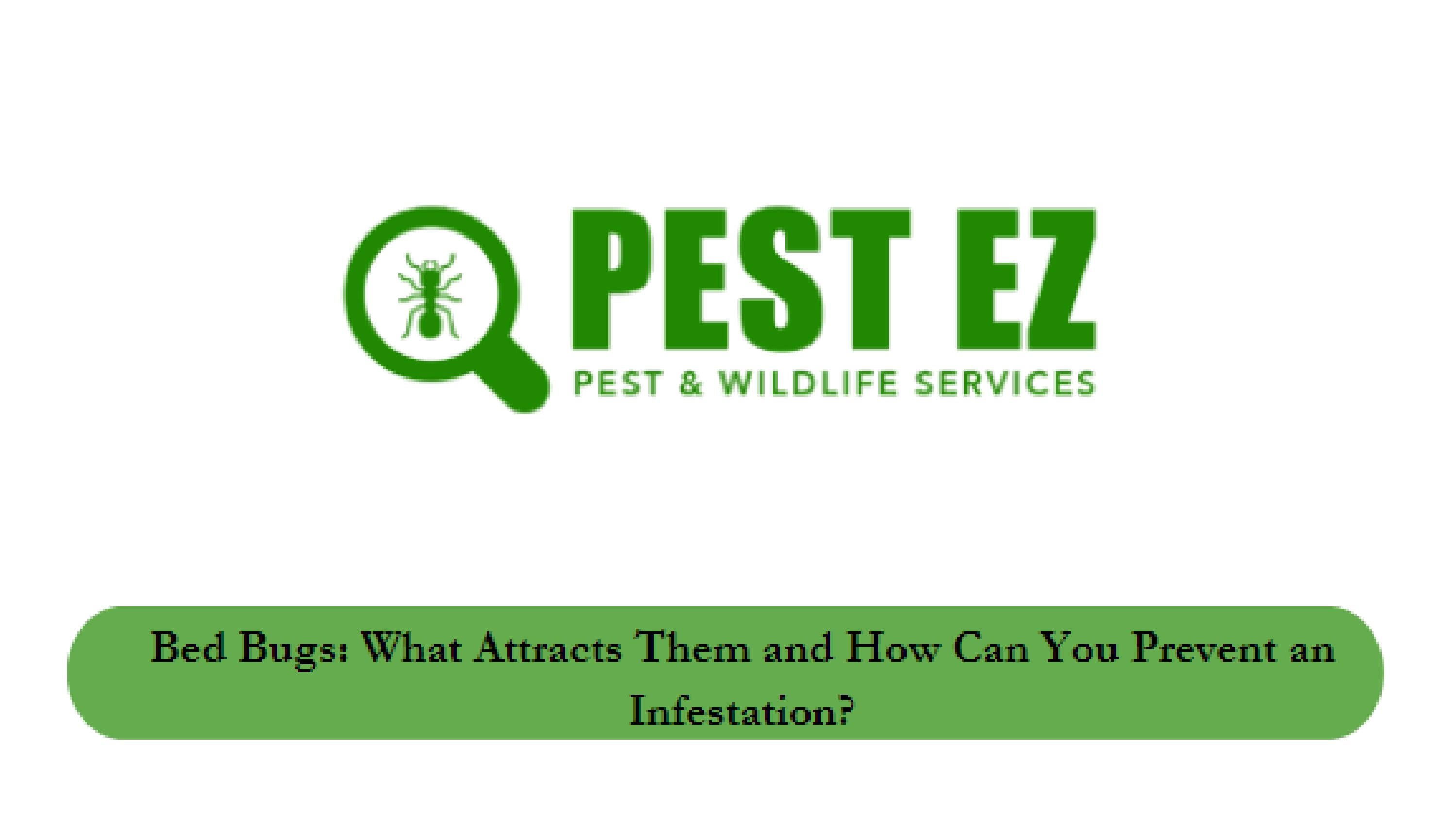 Bed Bugs Control Detroit by pestez67 Issuu