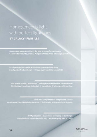 Galaxy Profiles 2023 德文 - 英文 第 18 页