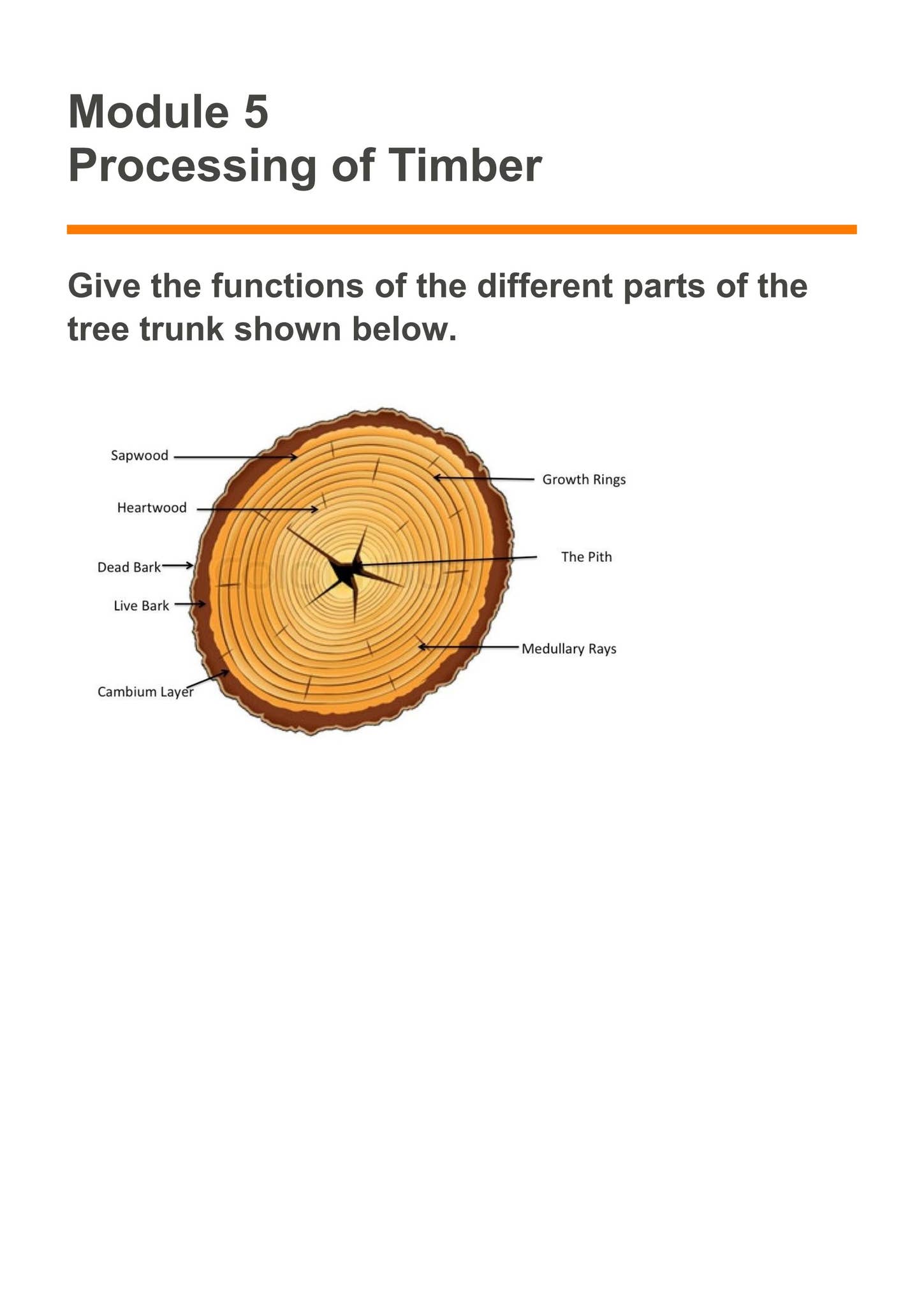 Processing of Timber by Gra chef - Issuu