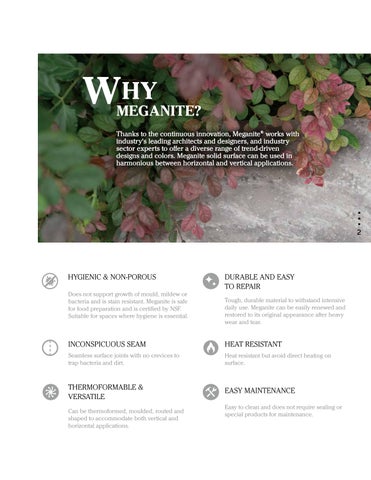 Meganite: The Nature 灯饰系列 第 3 页