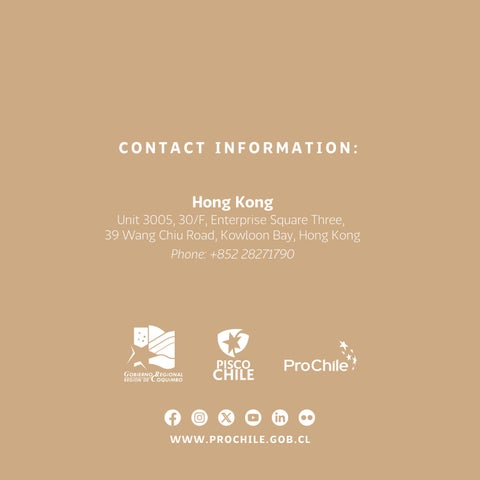 Chilean Pisco - Hong Kong 第 14 页