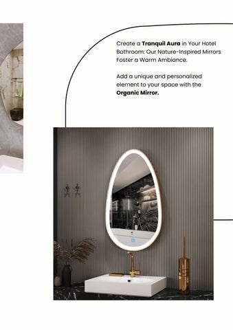 Mi Mirror's 酒店 Mirrors 家具目录 第 19 页