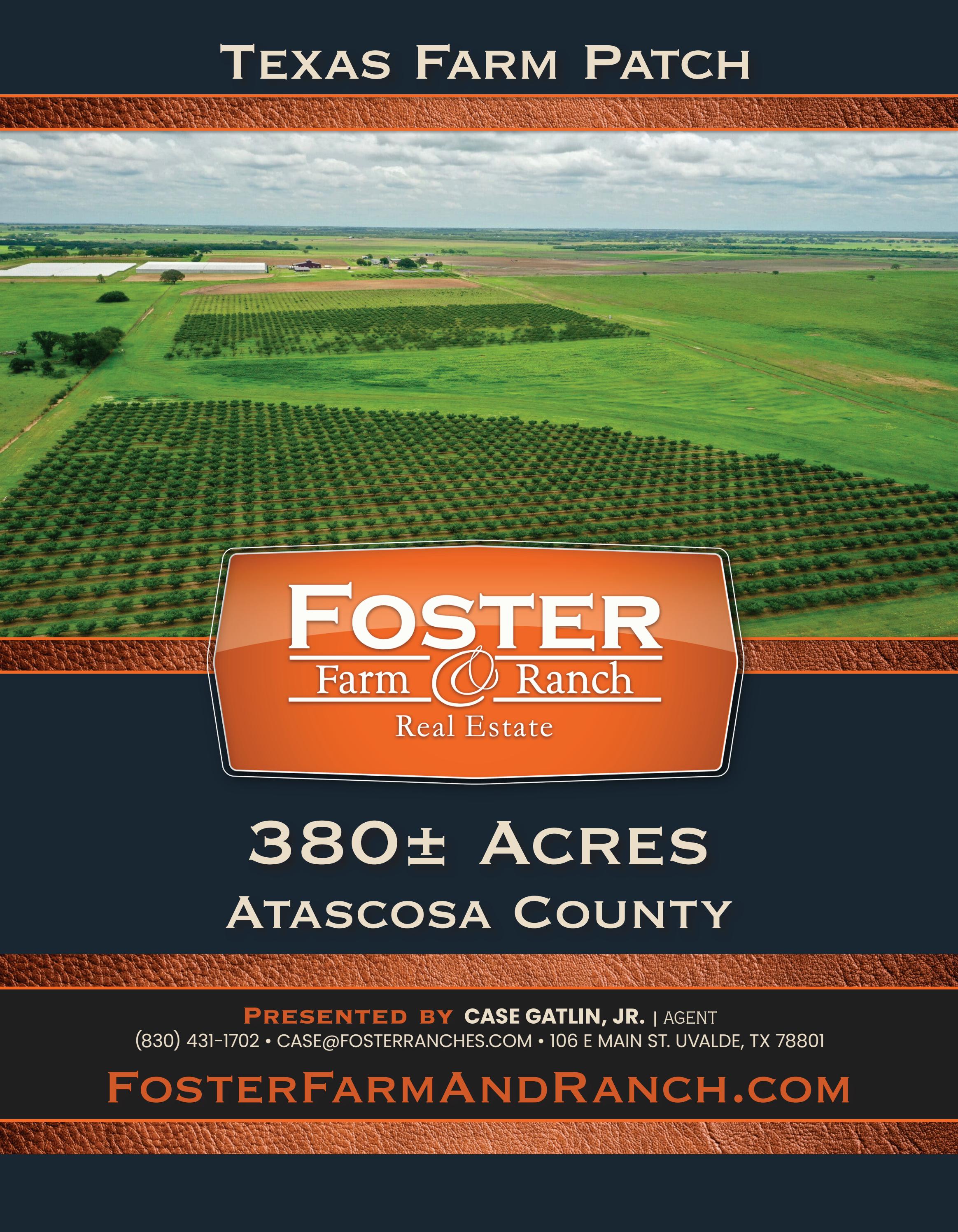 FF&R Issue 430 | Texas Farm Patch by Foster Farm & Ranch - Issuu