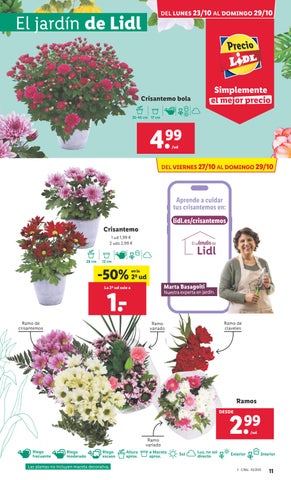Lidl alimentación 23 octubre 第 11 页