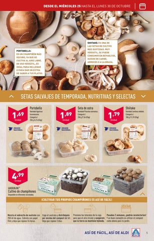 Folleto semanal ALDI del 25 al 30 德文 octubre 第 5 页