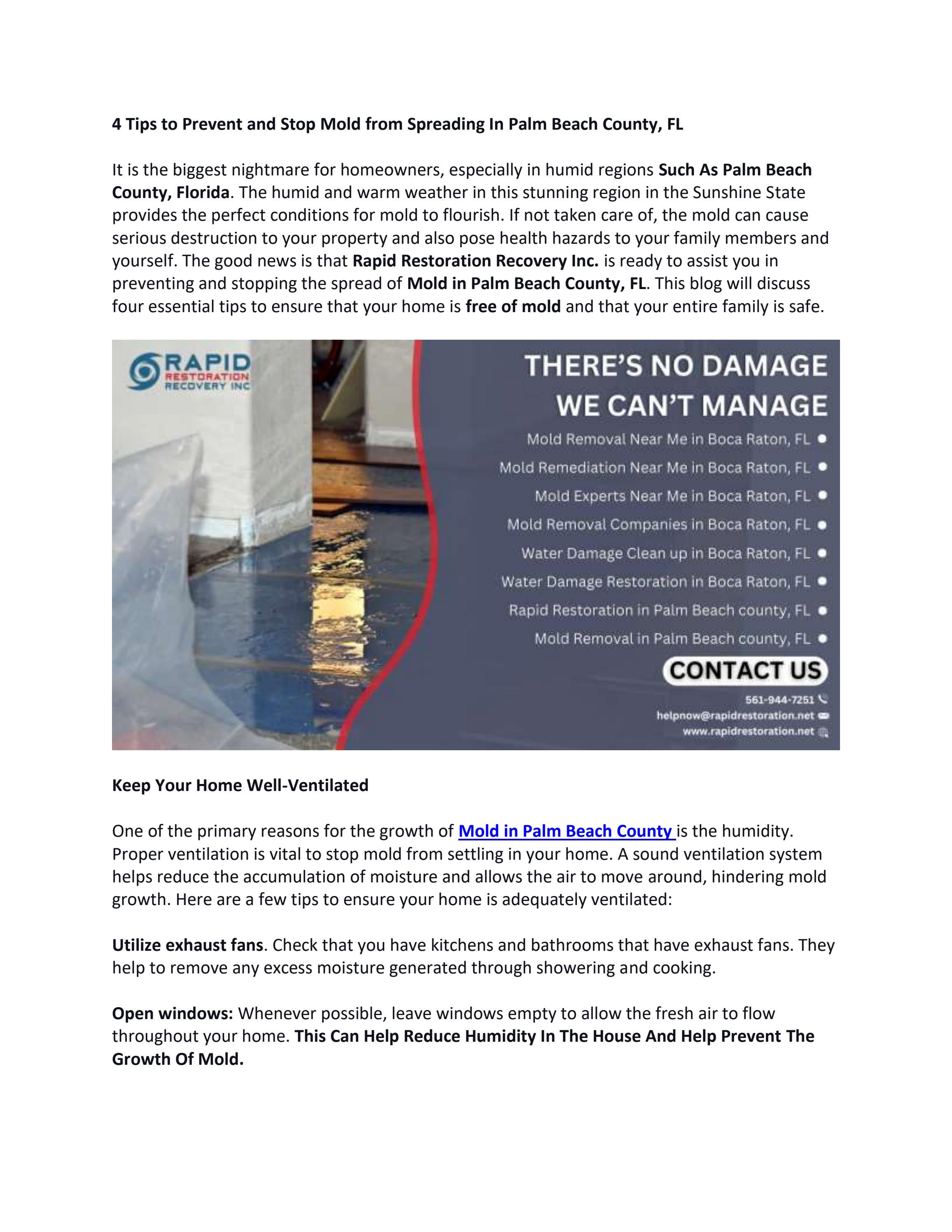 4 Tips to Prevent and Stop Mold from Spreading In Palm Beach County, FL