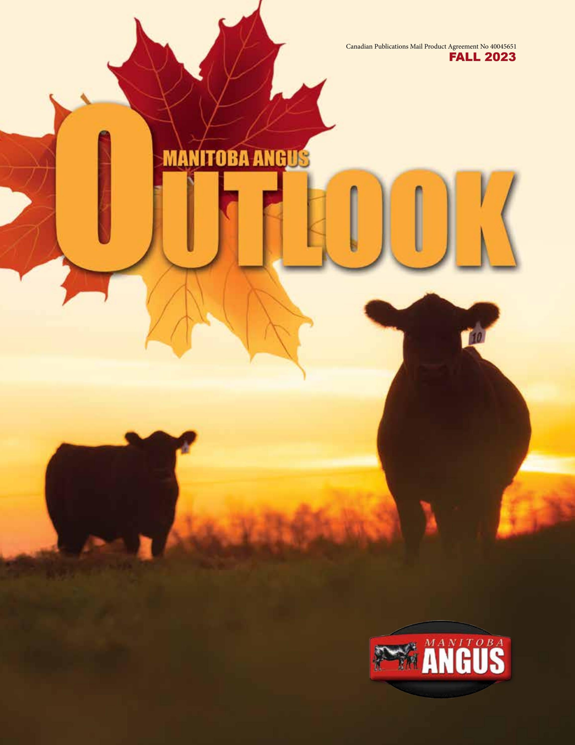 Manitoba Angus Outlook Fall 2023 by Canadian Angus Association Issuu