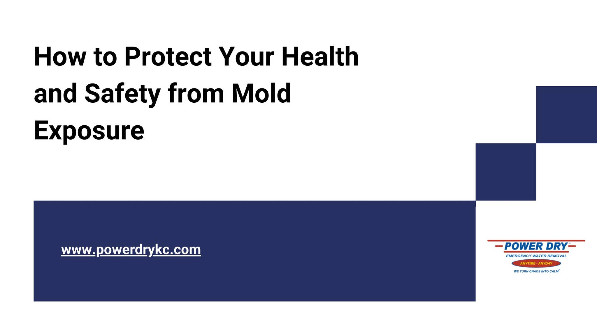 How to Protect Your Health and Safety from Mold Exposure by powerdry ...