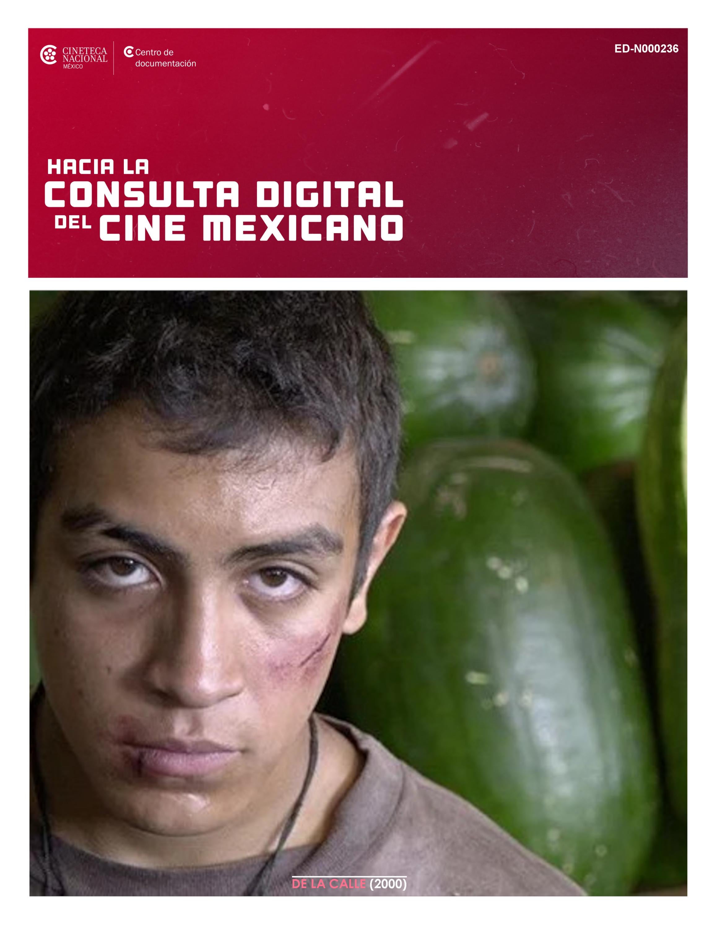 DE LA CALLE (2000) by Centro de Documentación Nacional México