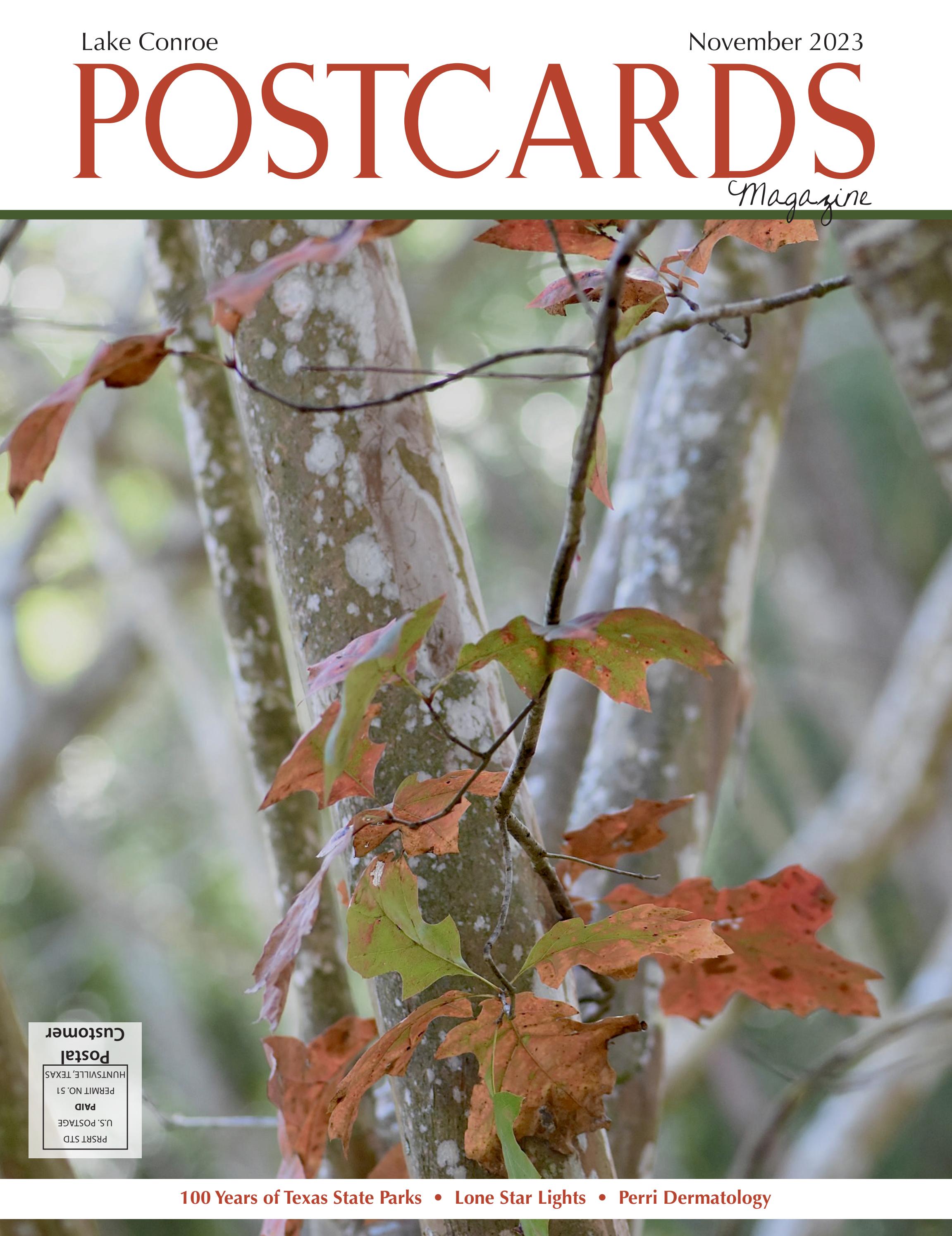 POSTCARDS MAGAZINE Lake Conroe November 2023 by Digital Publisher