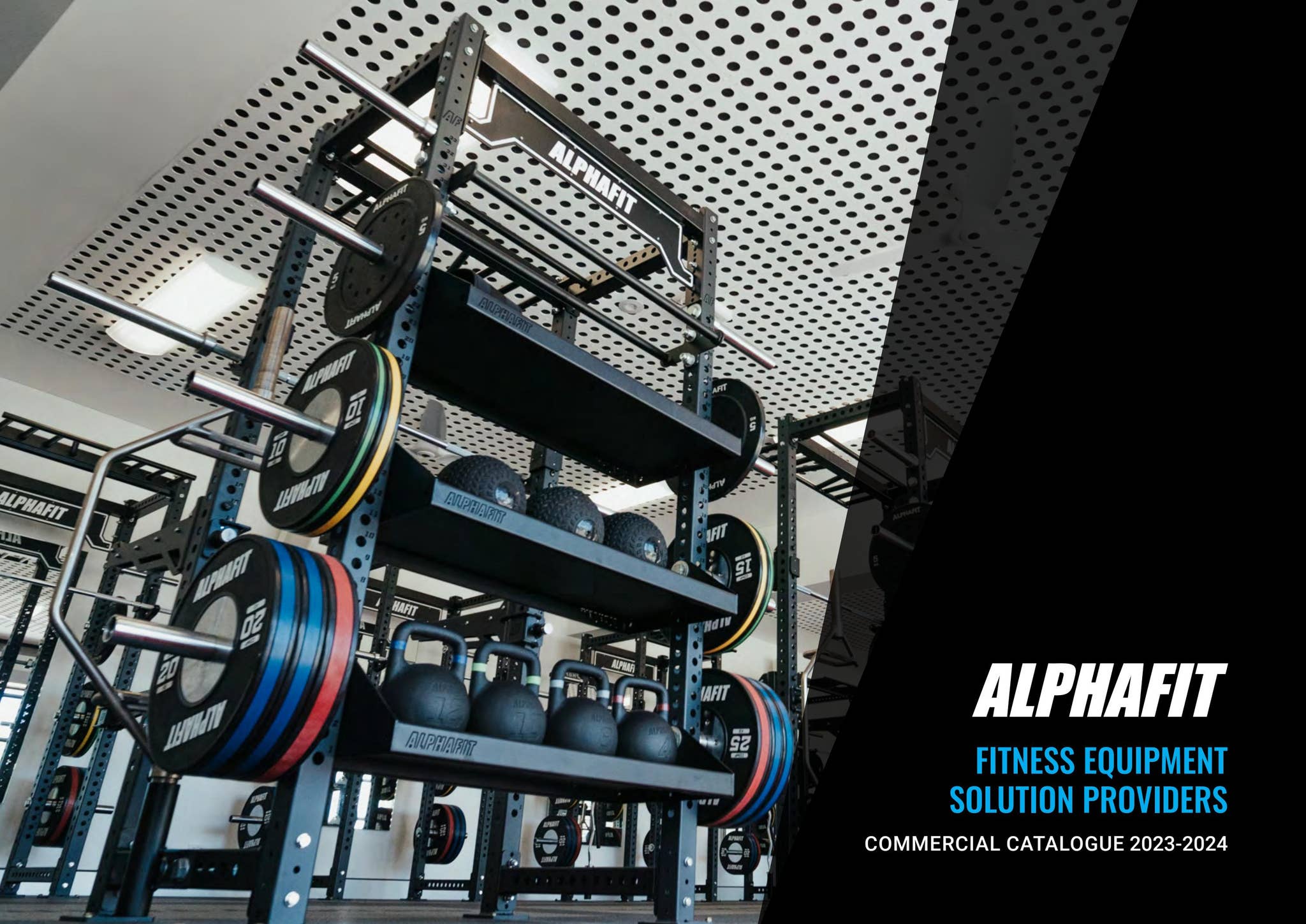 AlphaFit: Fitness Equipment Solutions Providers | Commercial Catalogue ...