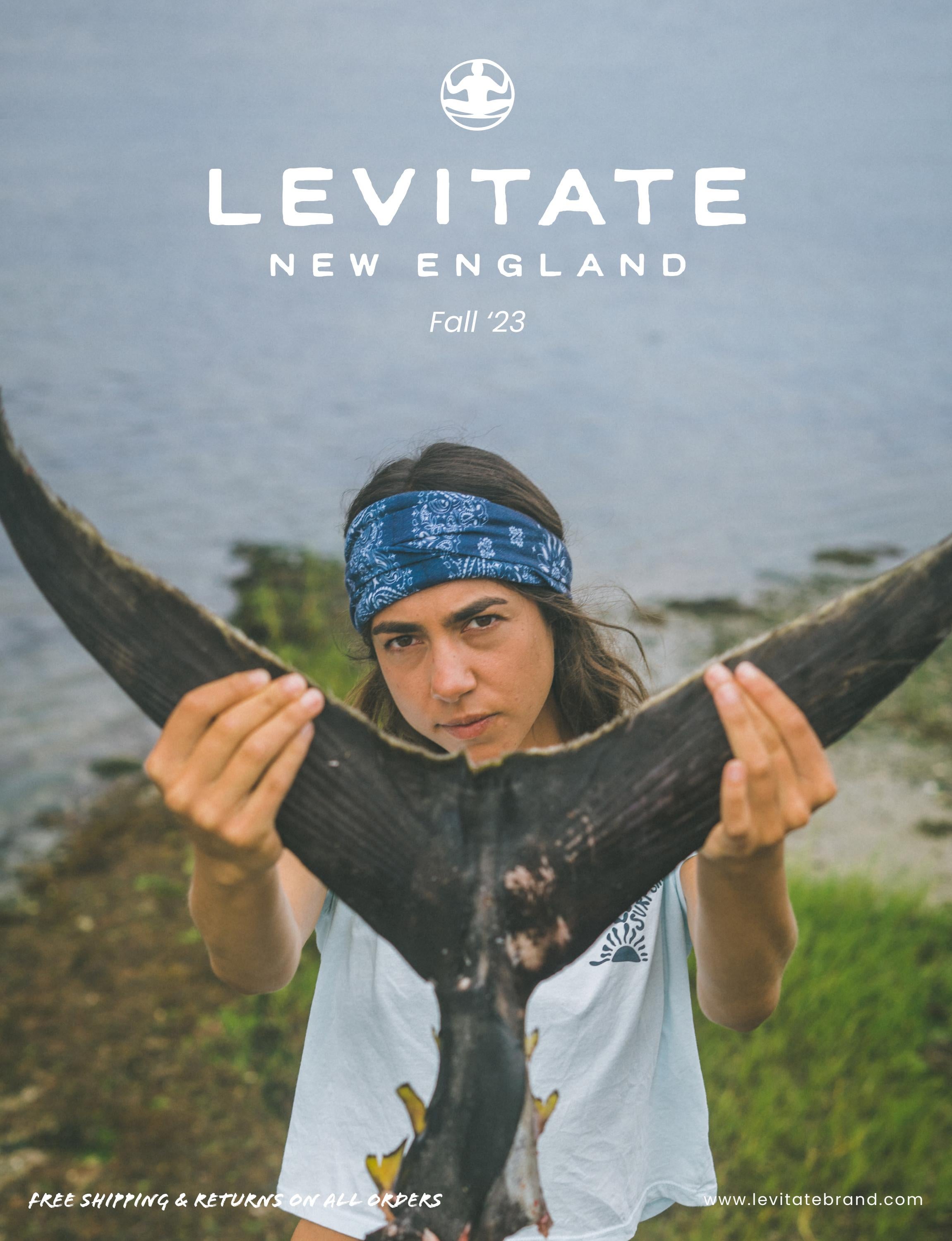 Levitate Gastropub - n2639tv