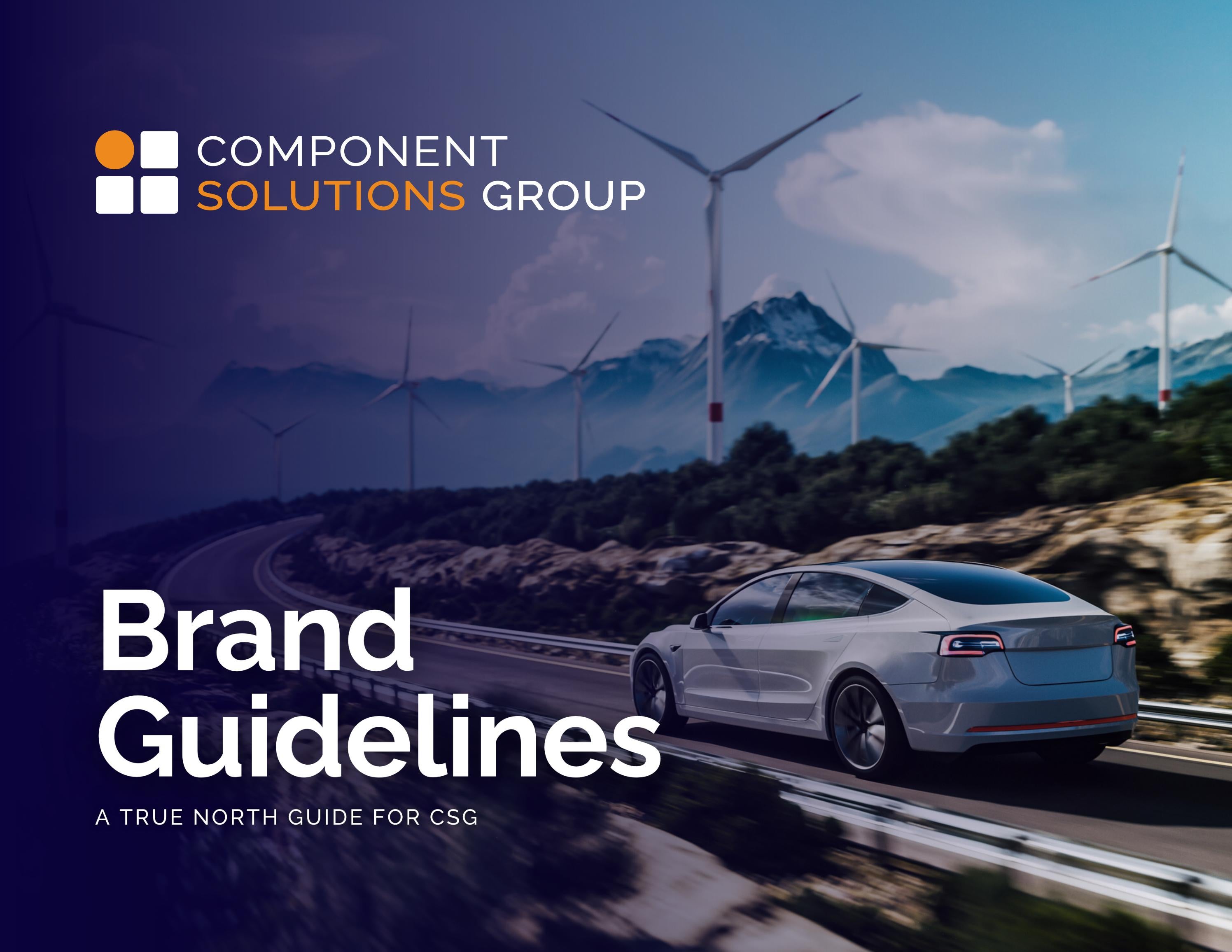Component Solutions Group Brand Guidelines by Gabrielle Pippenger Issuu
