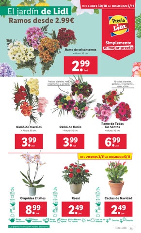 Lidl alimentación 第 11 页
