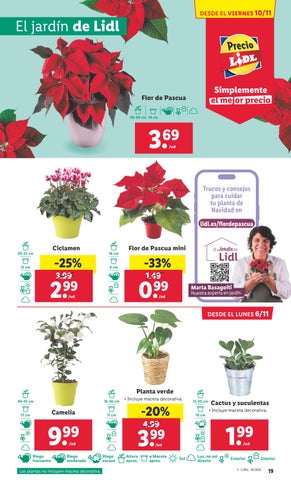 Alimentación lidl 第 19 页