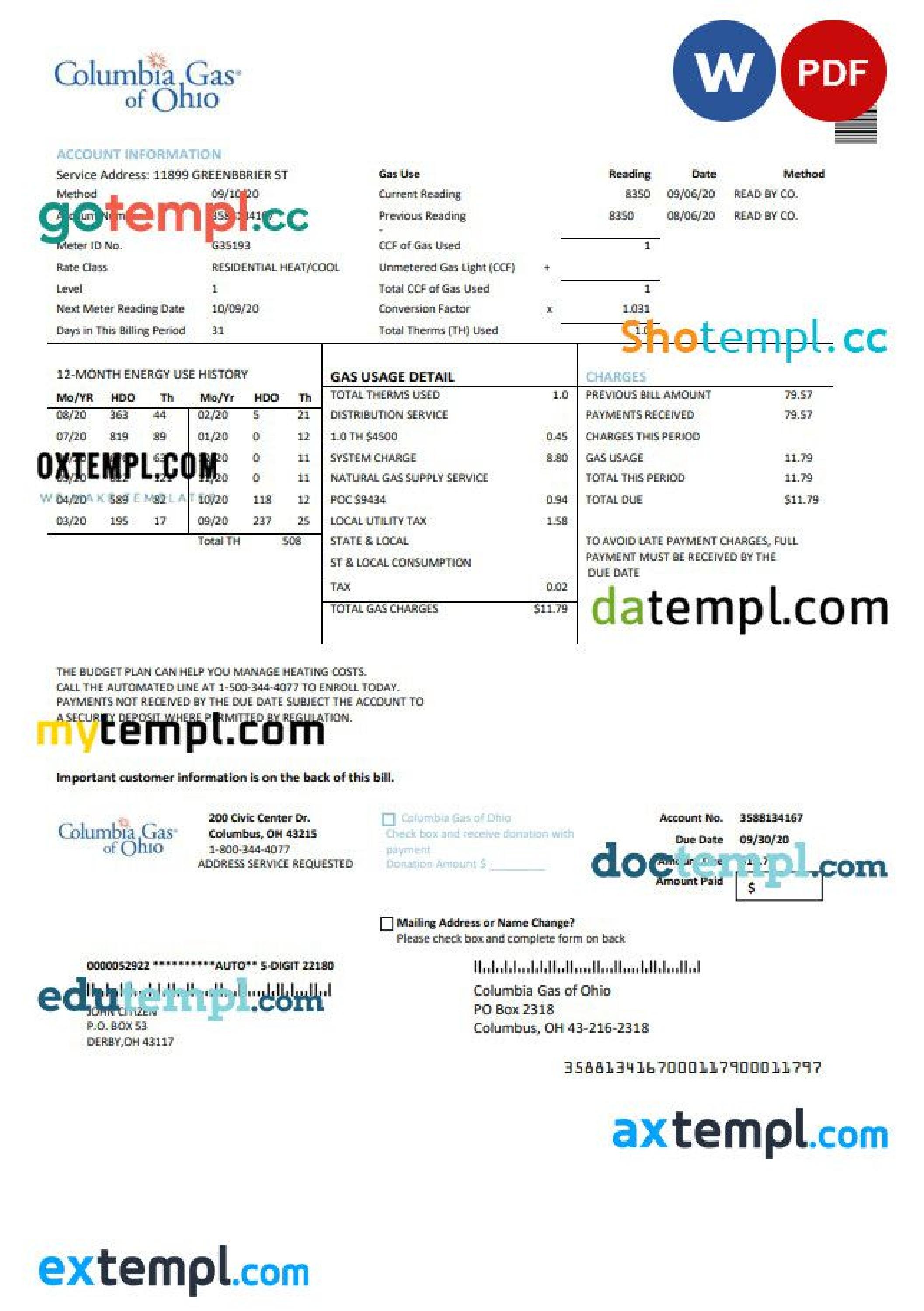 USA Columbia Gas of Ohio utility bill template in Word and PDF format