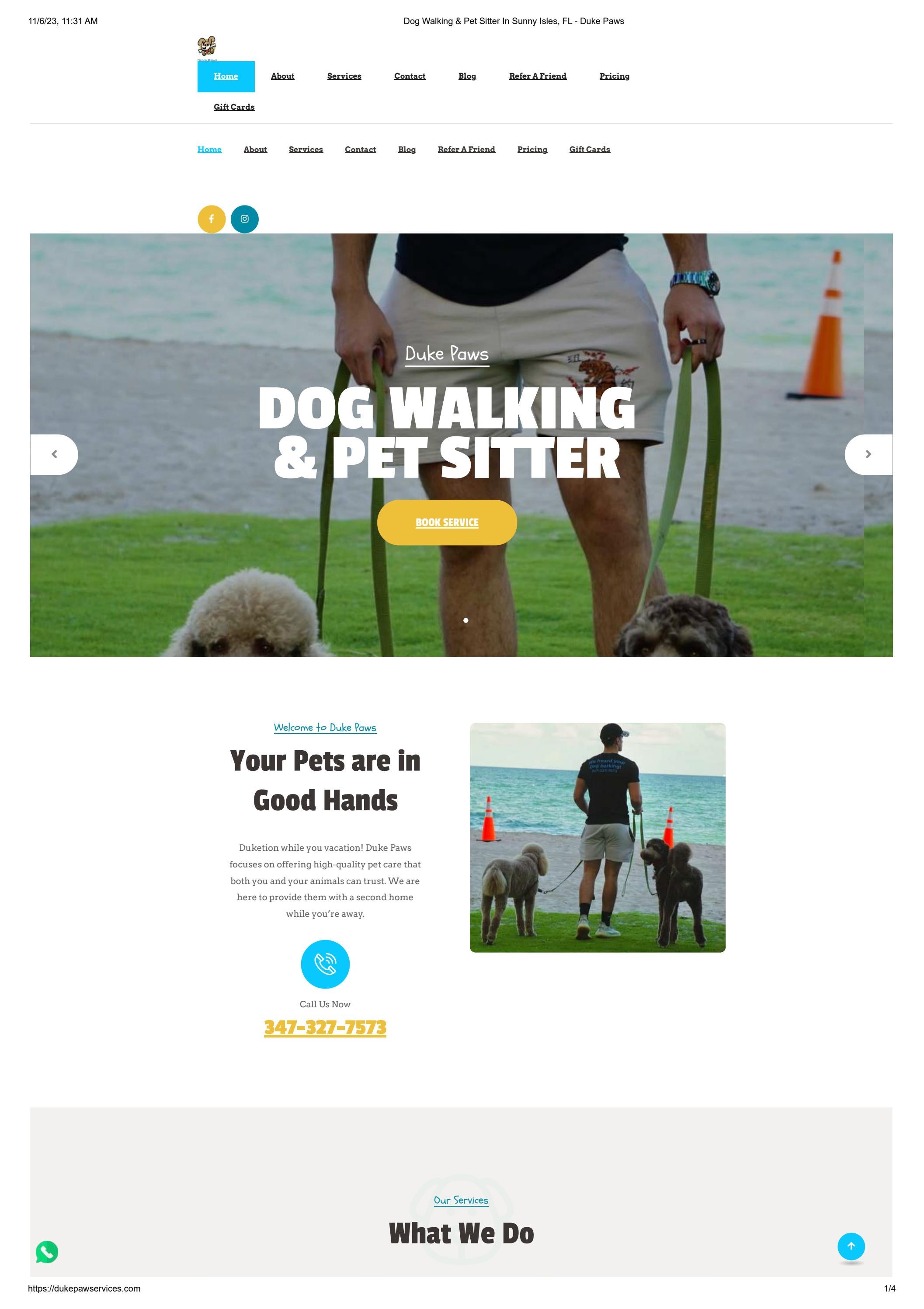 Dog Walking Miami Beach Pet Sitter Hollywood FL Duke Paws by