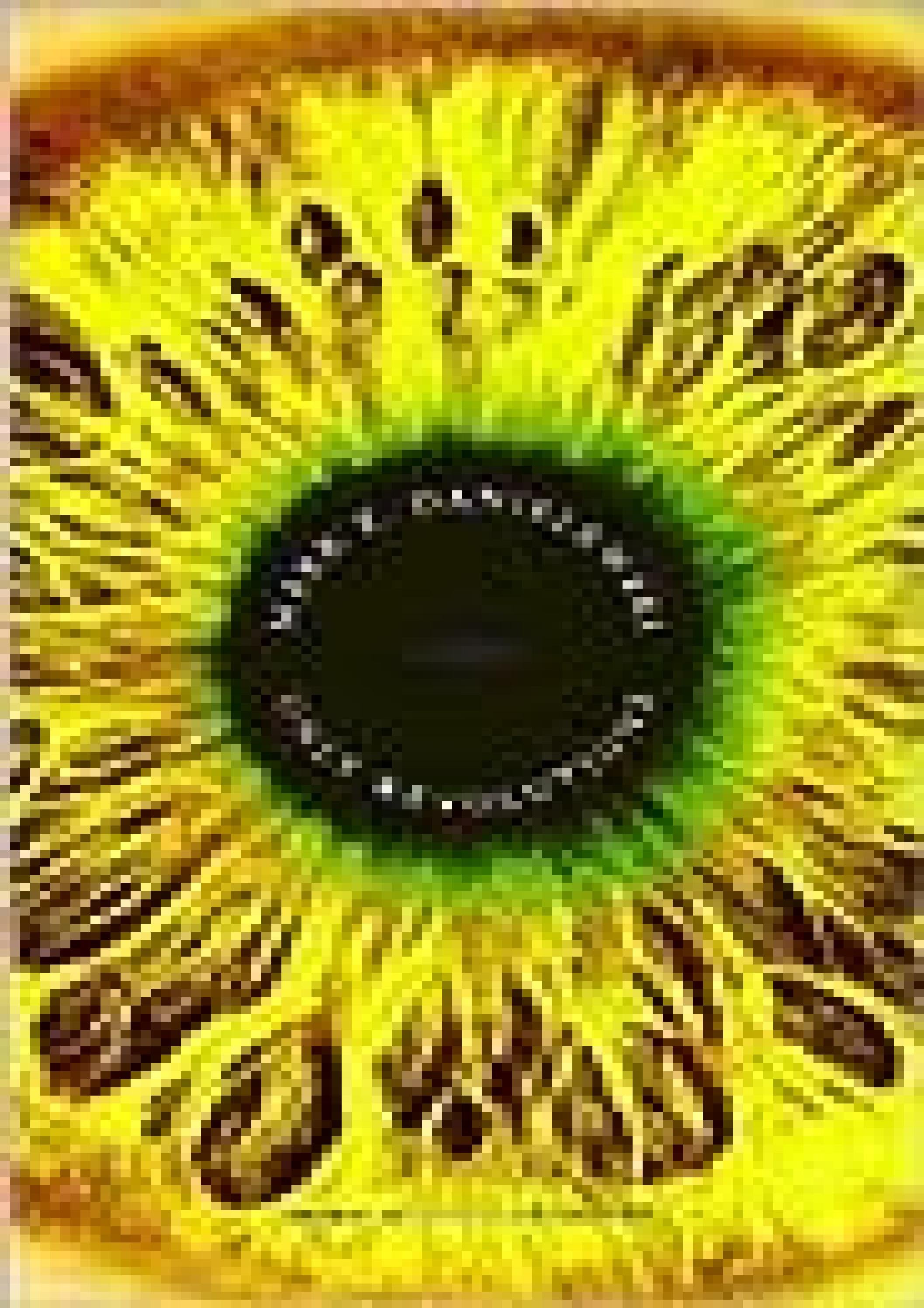 eBook Only Revolutions by Mark Z. Danielewski by ebooksnew - Issuu