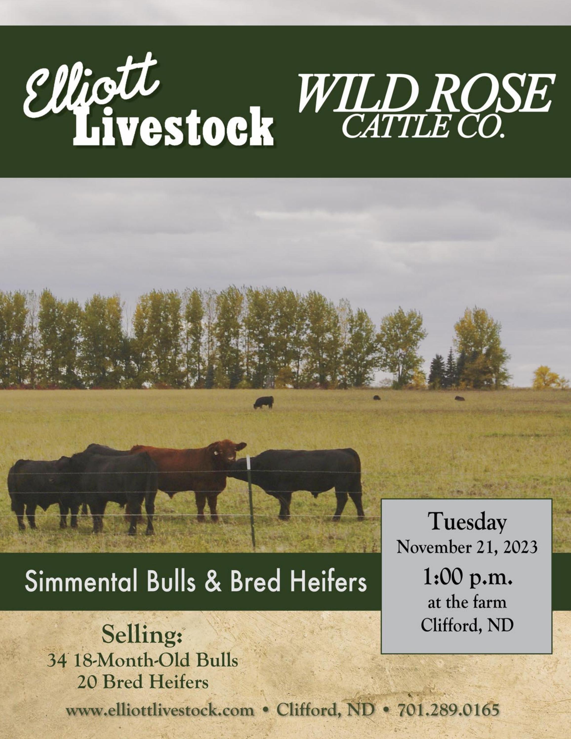 Elliott Livestock / Wild Rose Cattle Company Production Sale by