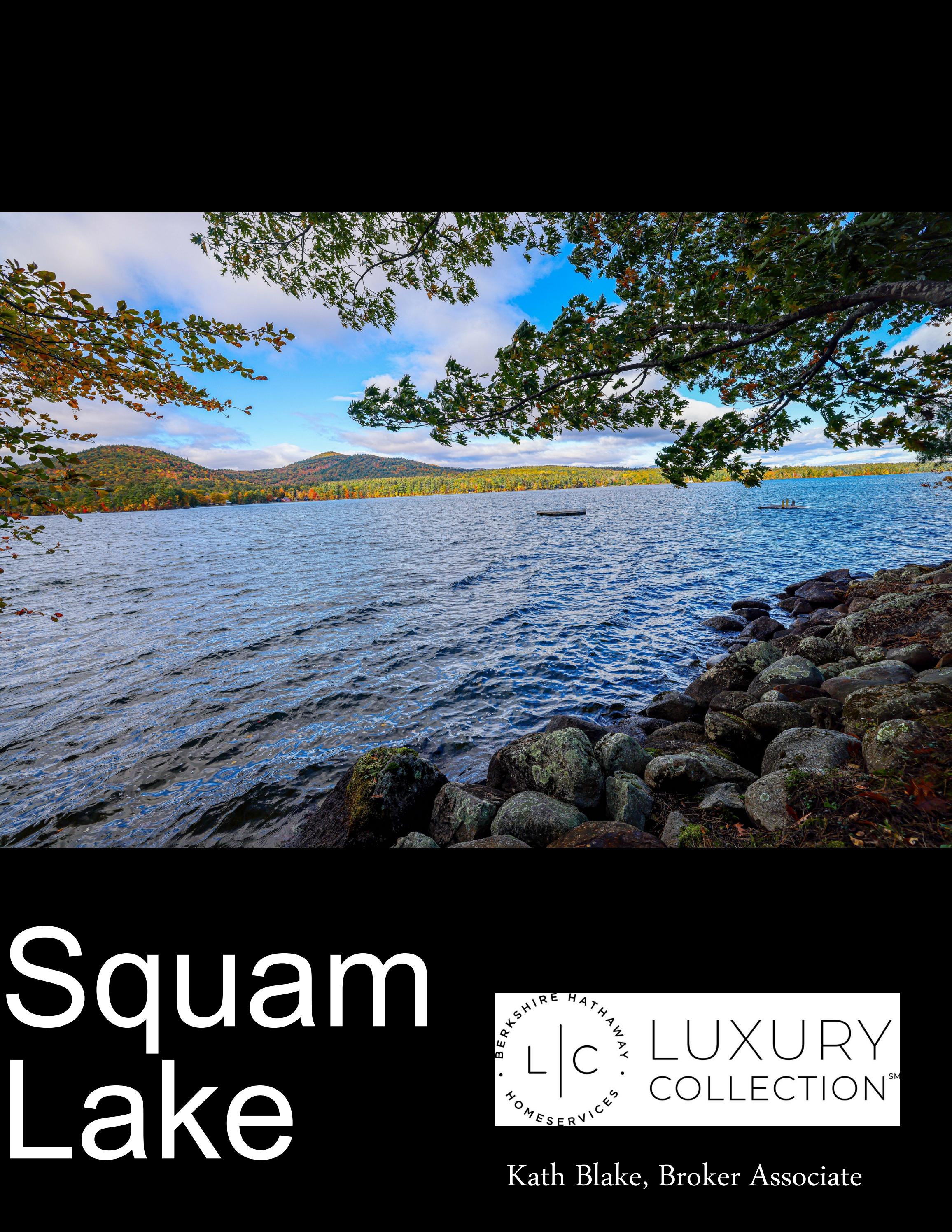 Squam Lake Home For Sale by kathblake Issuu