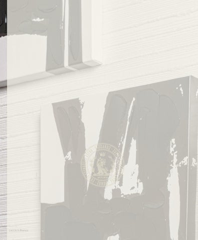 Coraggio 家具手册 第 18 页