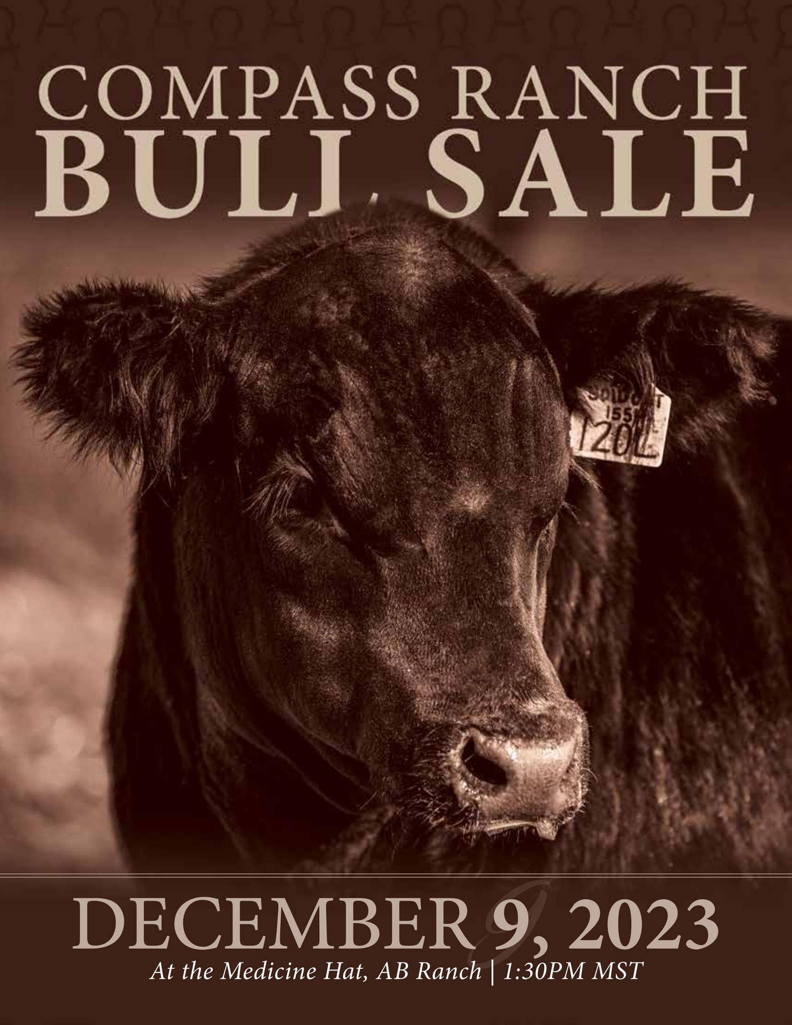 Compass Ranch Bull Sale 2023 by Bohrson Marketing Services Ltd. - Issuu