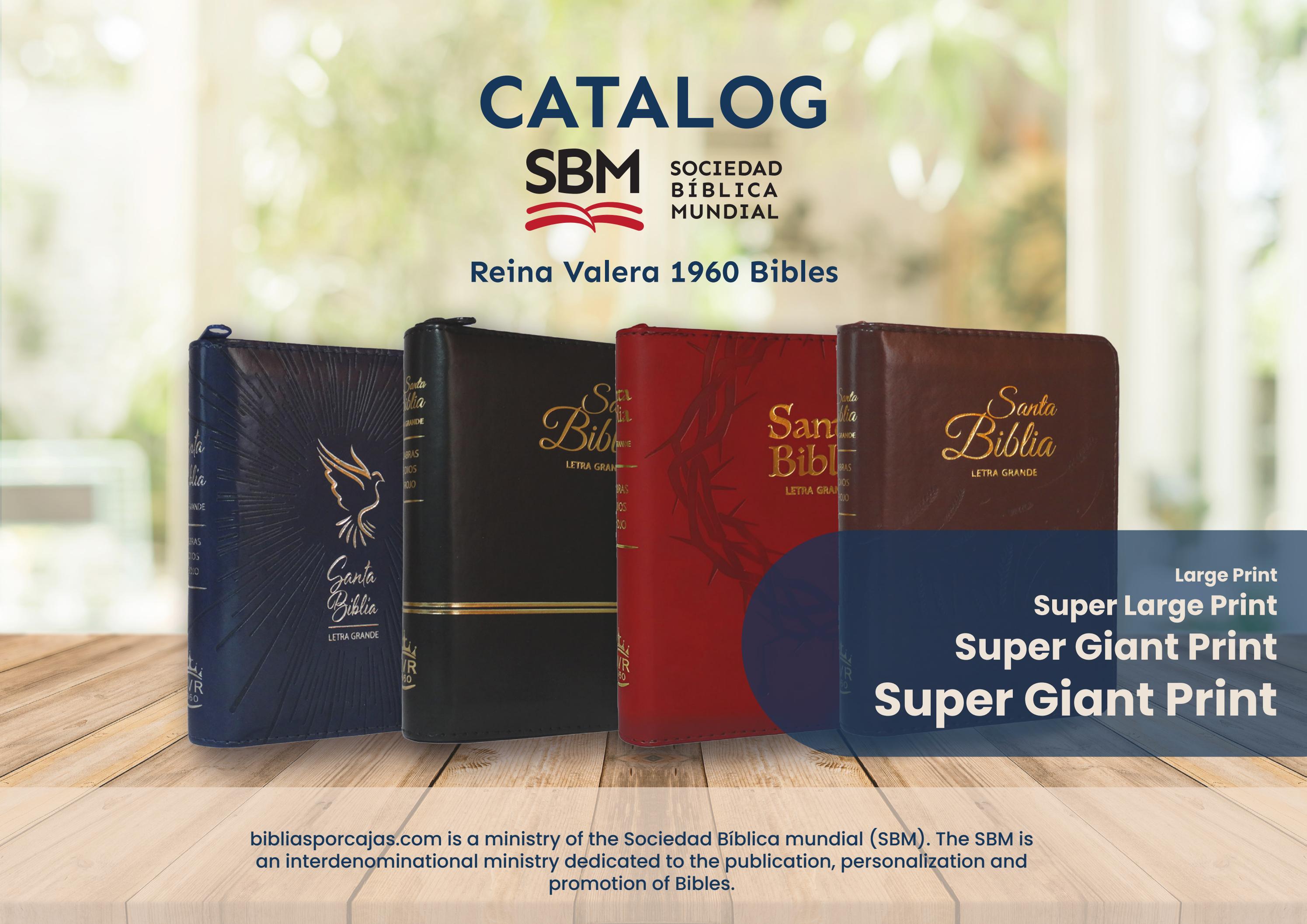 IBiblias Biblias por cajas English Catalog Sociedad Bíblica