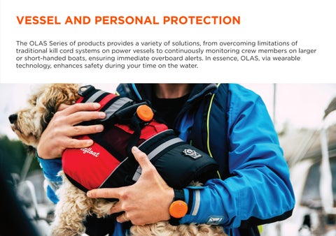 OLAS 智能 Protection 第 3 页