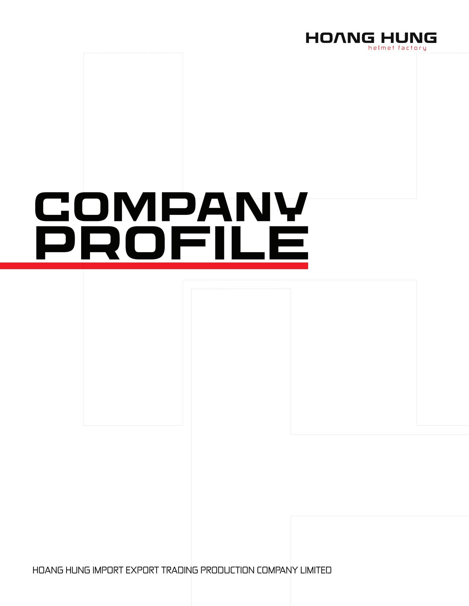 Hoang Hung Profile Company by Chấn Bảo - Issuu