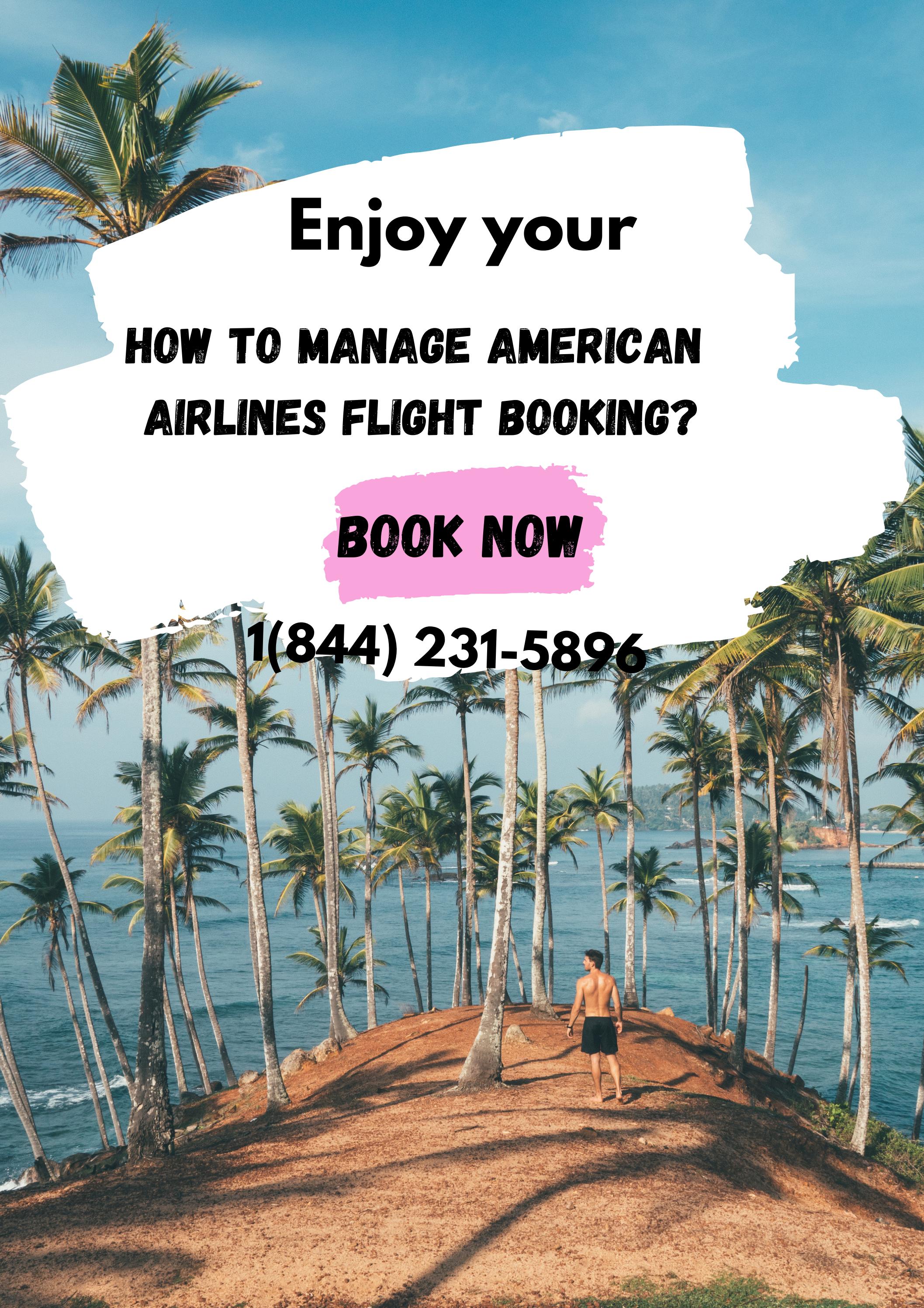 How to Manage my American Airlines Flight booking by phone by tripstrolly Issuu