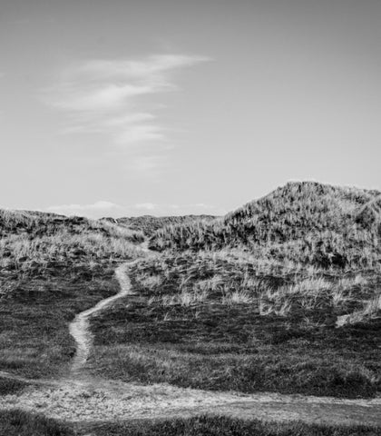 Poul Kjærholm | Natural Simplicity 第 16 页