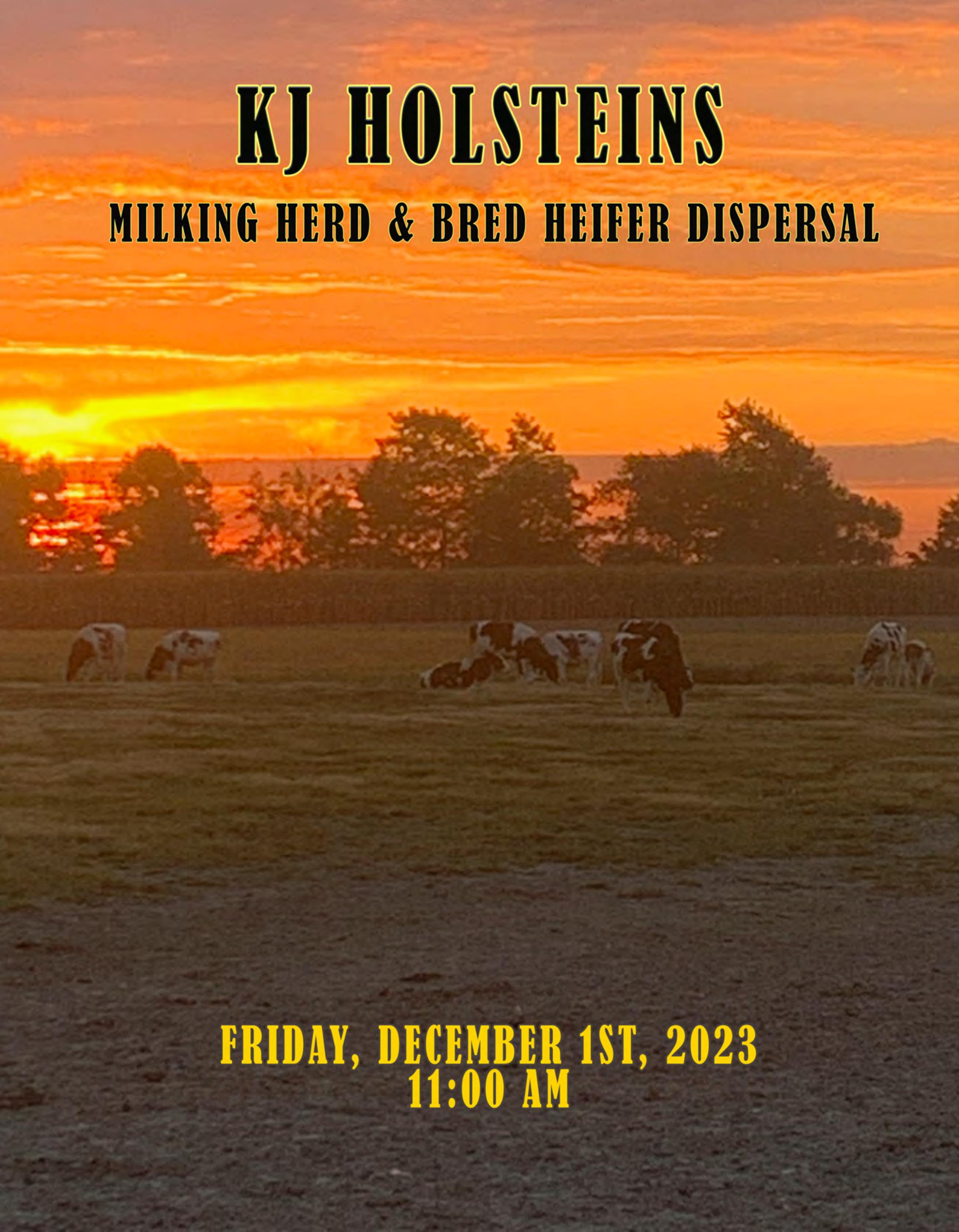 KJ HOLSTEINS MILKING HERD & BRED HEIFER DISPERSAL by Dairy Agenda Today