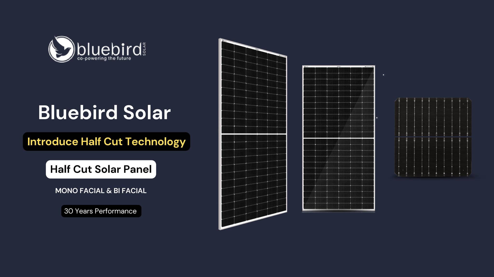 Maximizing Efficiency: Bluebird Mono Perc Half Cut Solar Panels by ...
