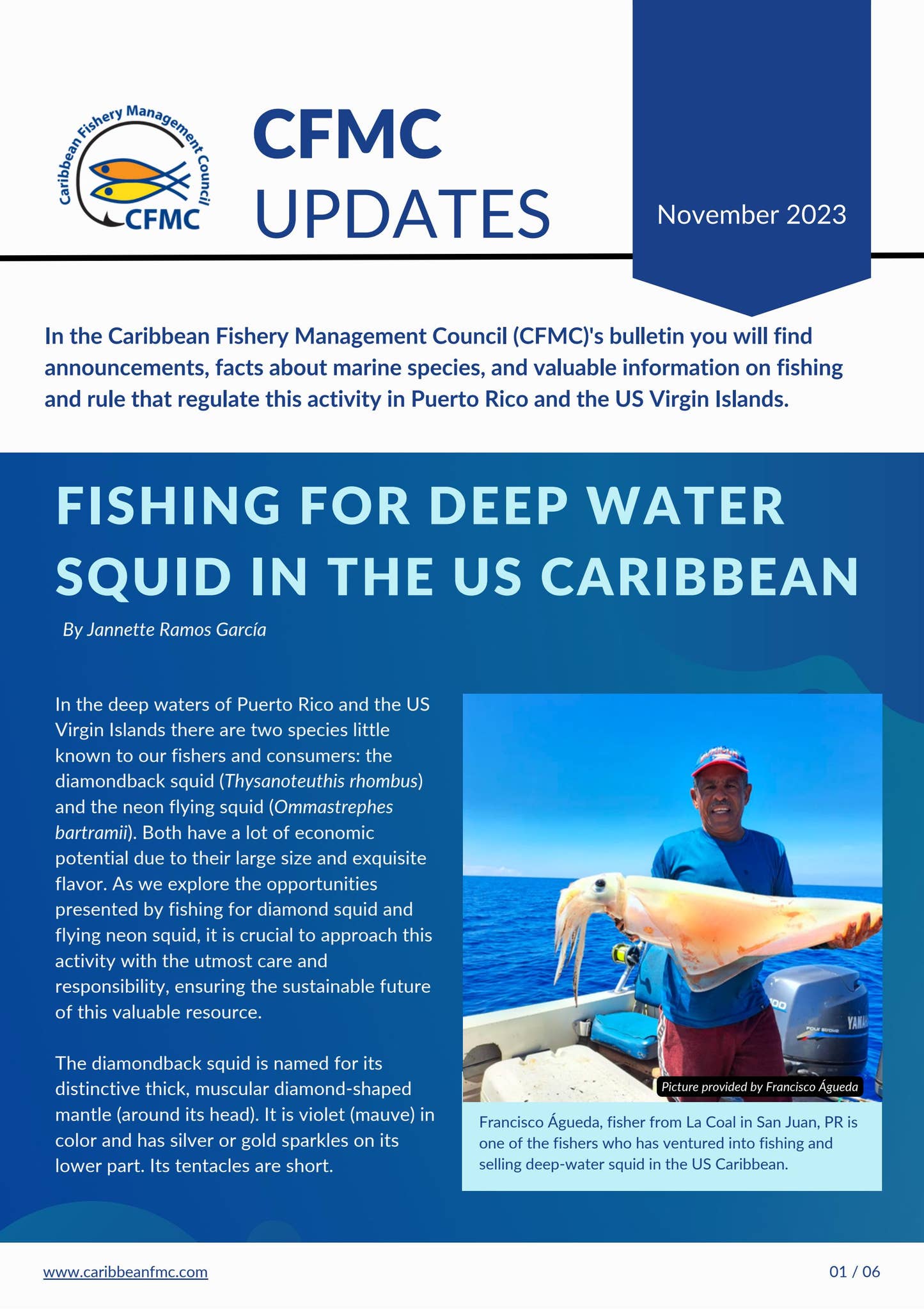 CFMC Updates (November 2023) by Caribbean Fishery Management Council ...